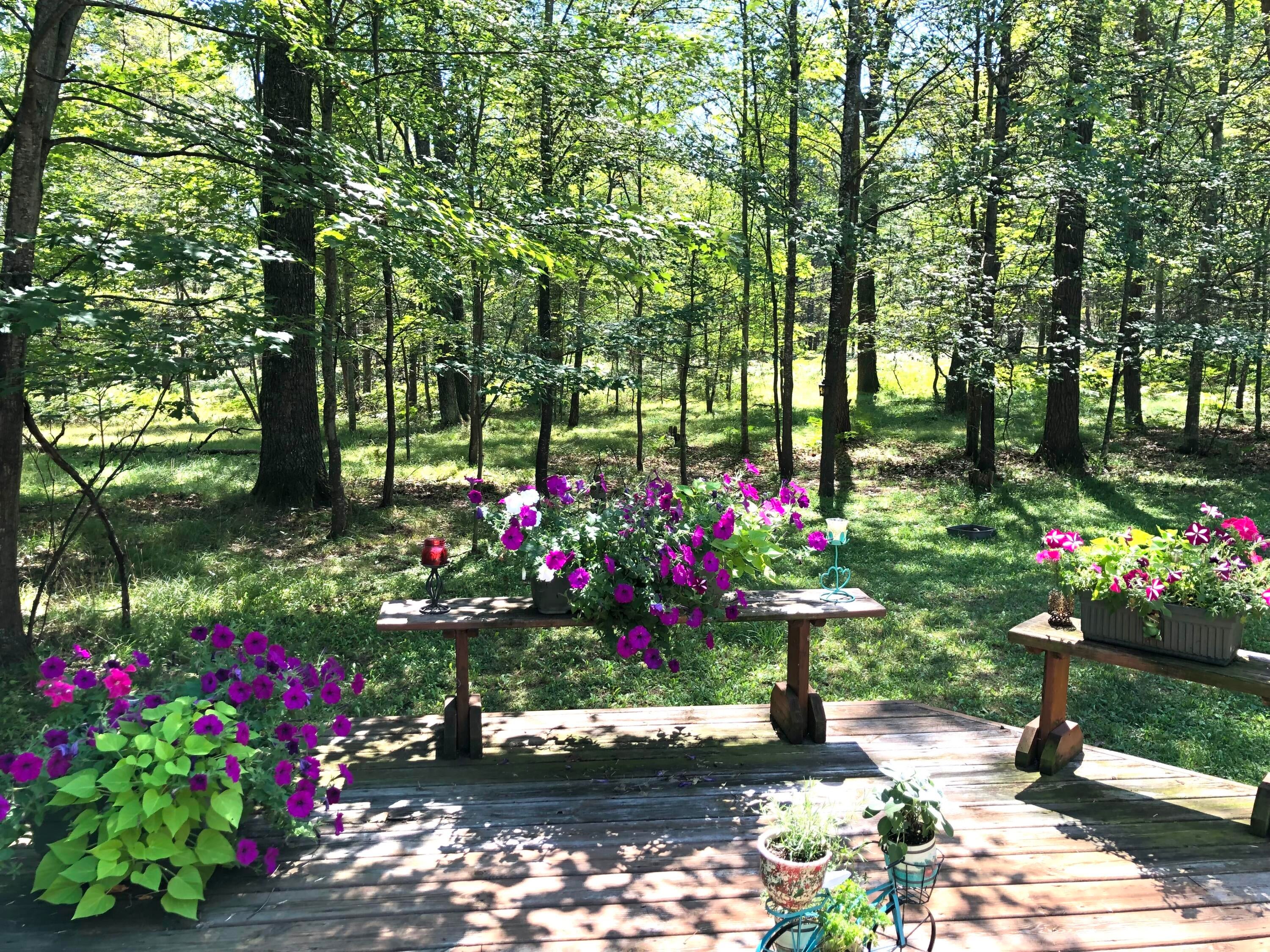 132 South Huntinghorn Road Roscommon, MI 48653 - Photo 30 of 41 Gallery Image 30
