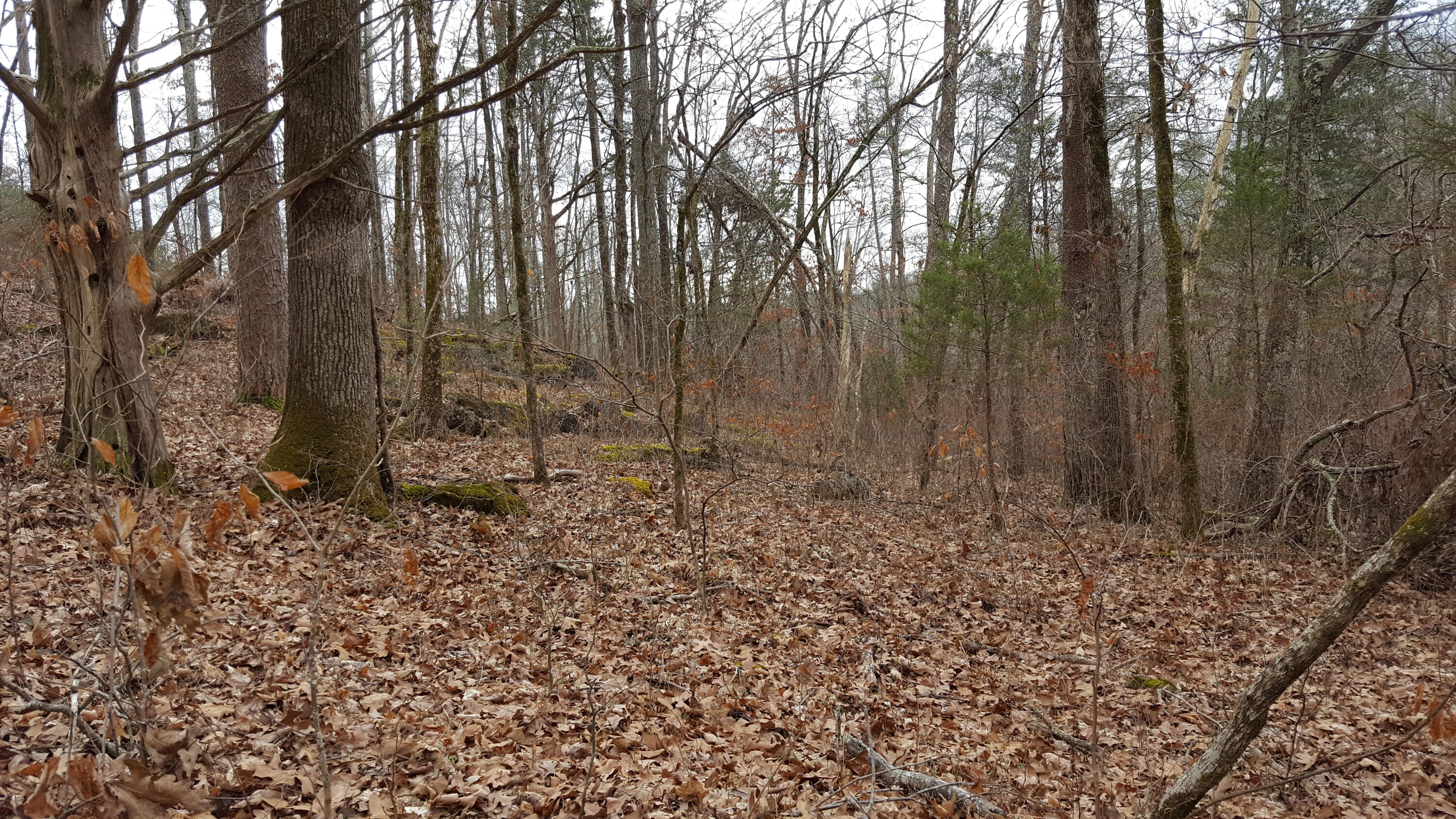Deep Springs Road Road Dandridge, TN 37725 - Photo 1 of 19 20180122_104556