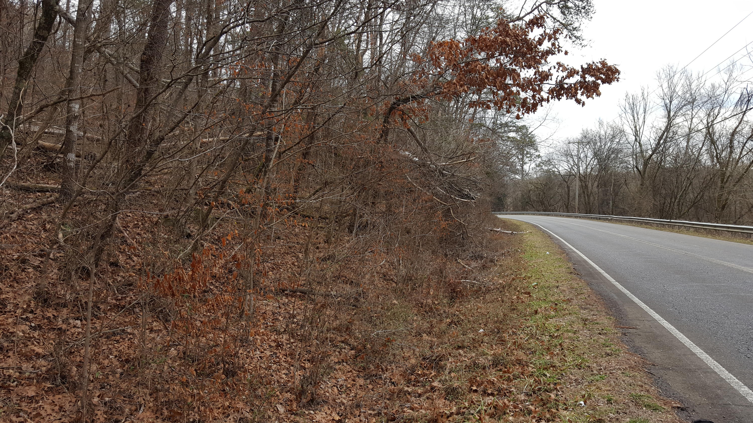 Deep Springs Road Road Dandridge, TN 37725 - Photo 17 of 19 20180122_110217
