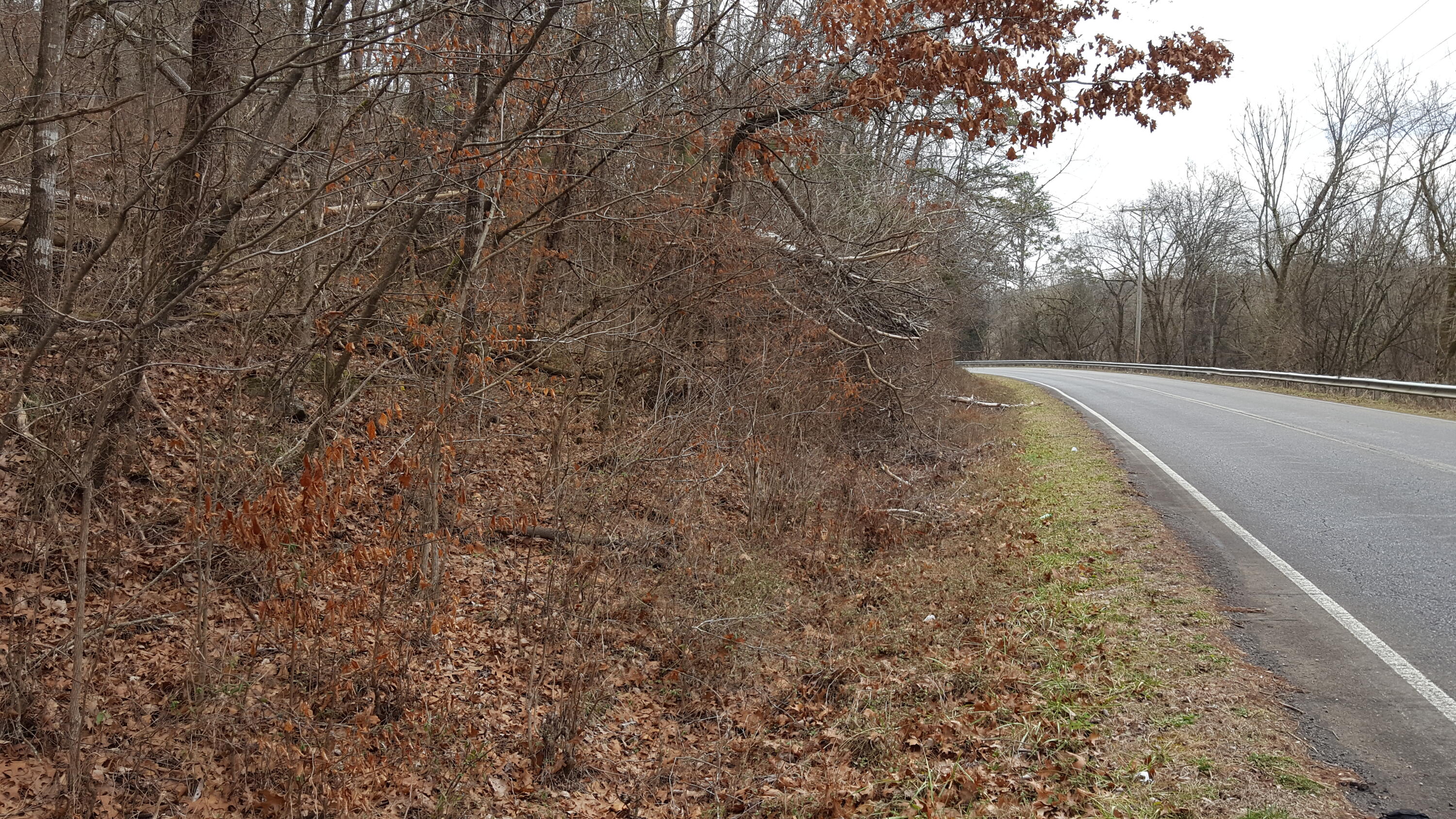 Deep Springs Road Road Dandridge, TN 37725 - Photo 18 of 19 20180122_110235
