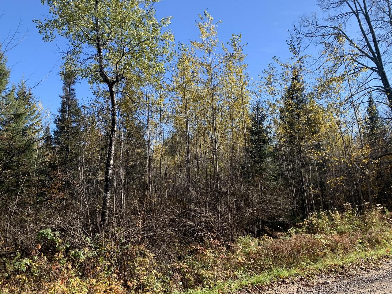 On Military Road, Unit 61 ACRES Eagle River, WI 54521 - Photo 2 of 17 Gallery Image 2