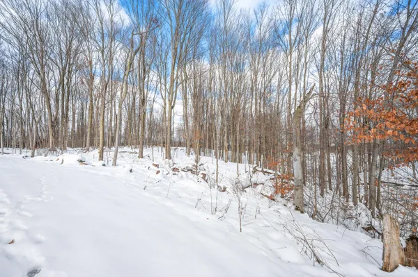 $549,900 | 16688 Canyon Cove, Big Rapids, MI 49307