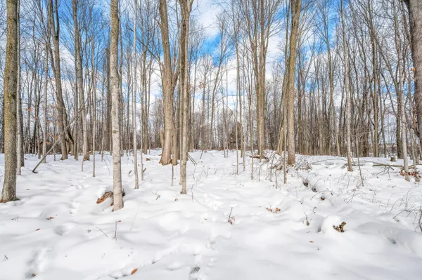 $549,900 | 16688 Canyon Cove, Big Rapids, MI 49307