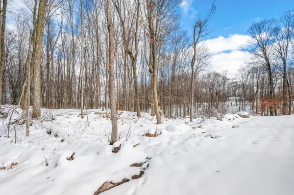 $549,900 | 16688 Canyon Cove, Big Rapids, MI 49307