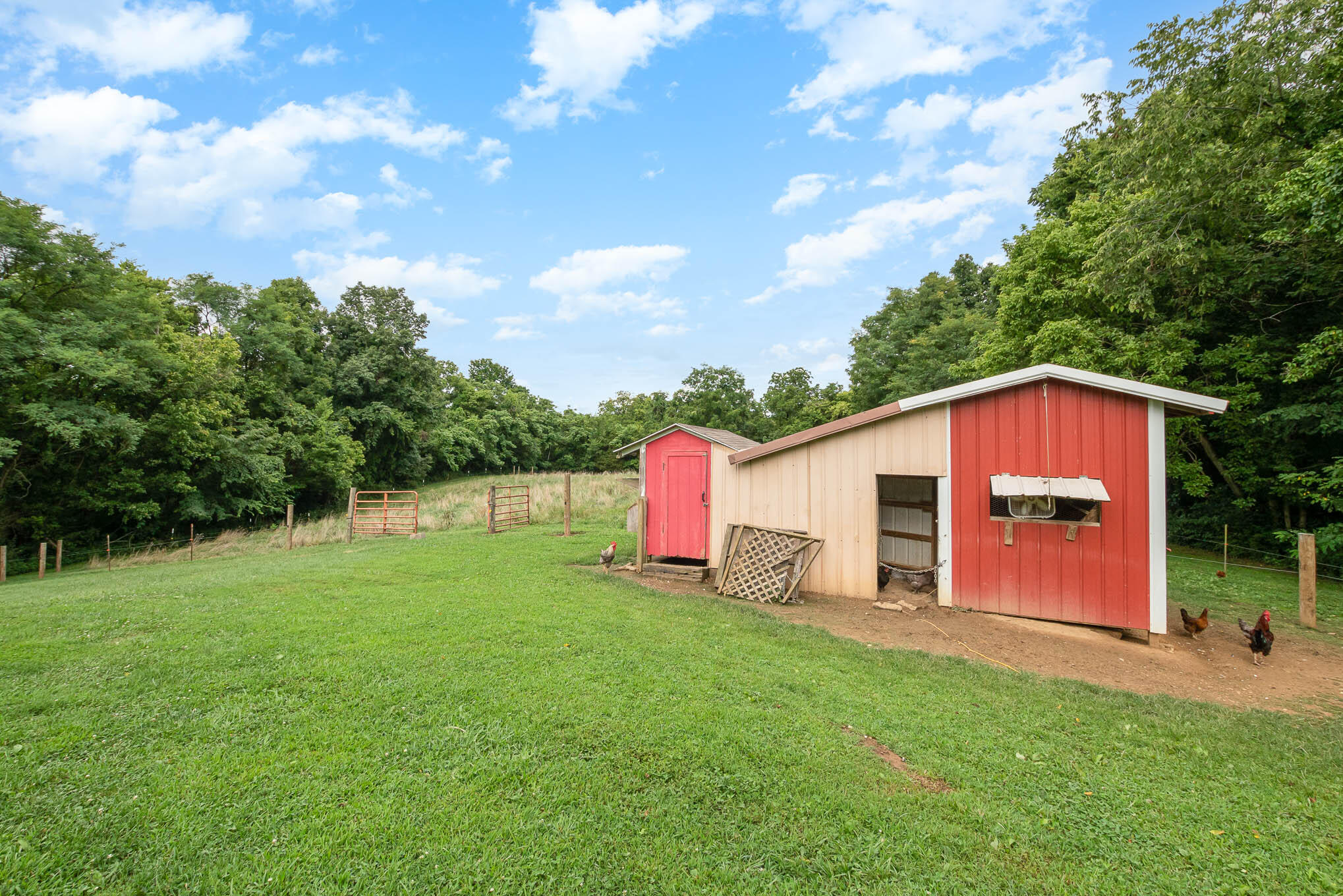 1039 Gridley Hill Road Sanders, KY 41083 - Photo 37 of 38 Gallery Image 37