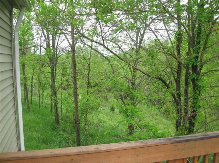 1248 Porter Road Sadieville, KY 40370 - Photo 30 of 54 View from back deck