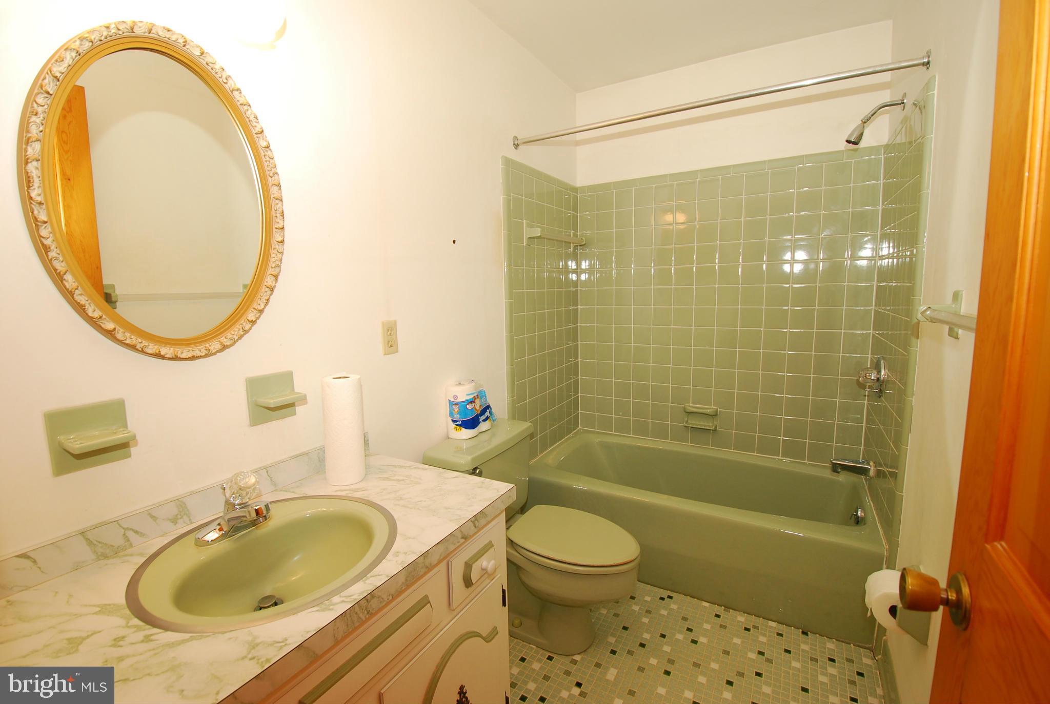 3335 Hipsley Mill Road Woodbine, MD 21797 - Photo 11 of 22 Bath