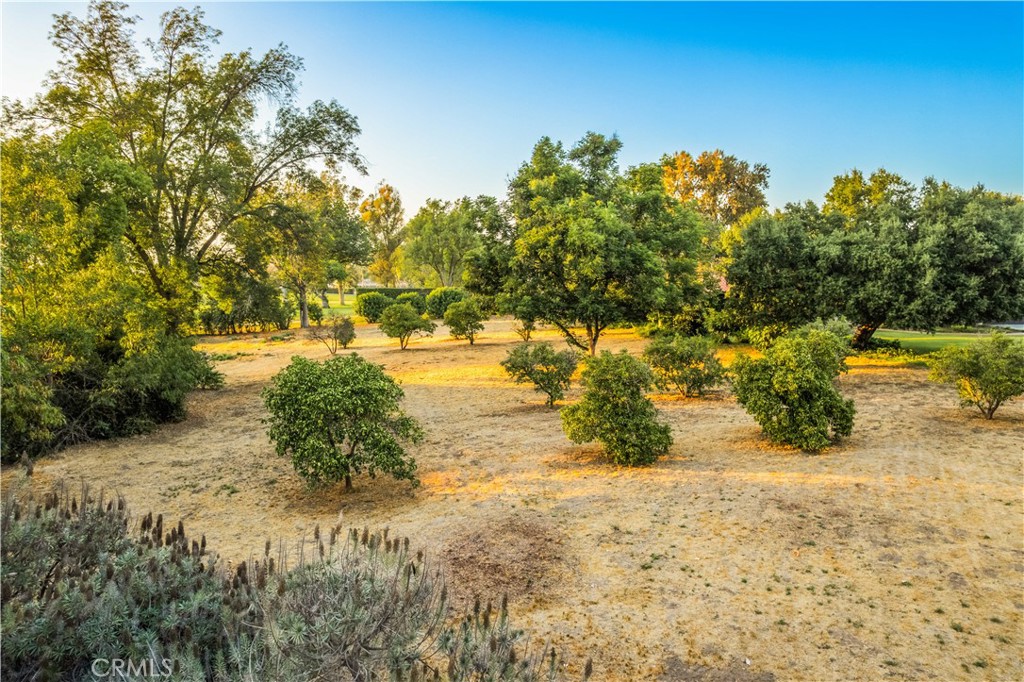 920 South Spring Meadow Drive West Covina, CA 91791 - Photo 42 of 48 a view of a yard with trees