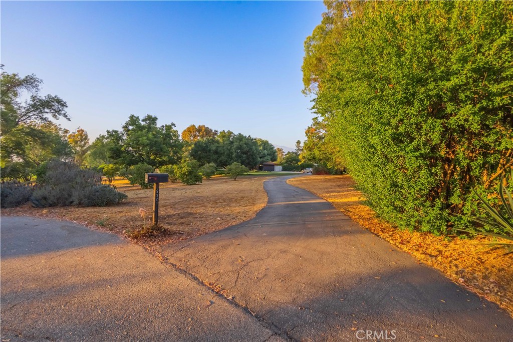920 South Spring Meadow Drive West Covina, CA 91791 - Photo 43 of 48 a view of a sidewalk with a tree