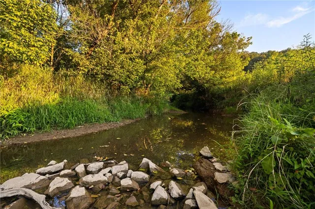 a backyard of a house with lots of green space