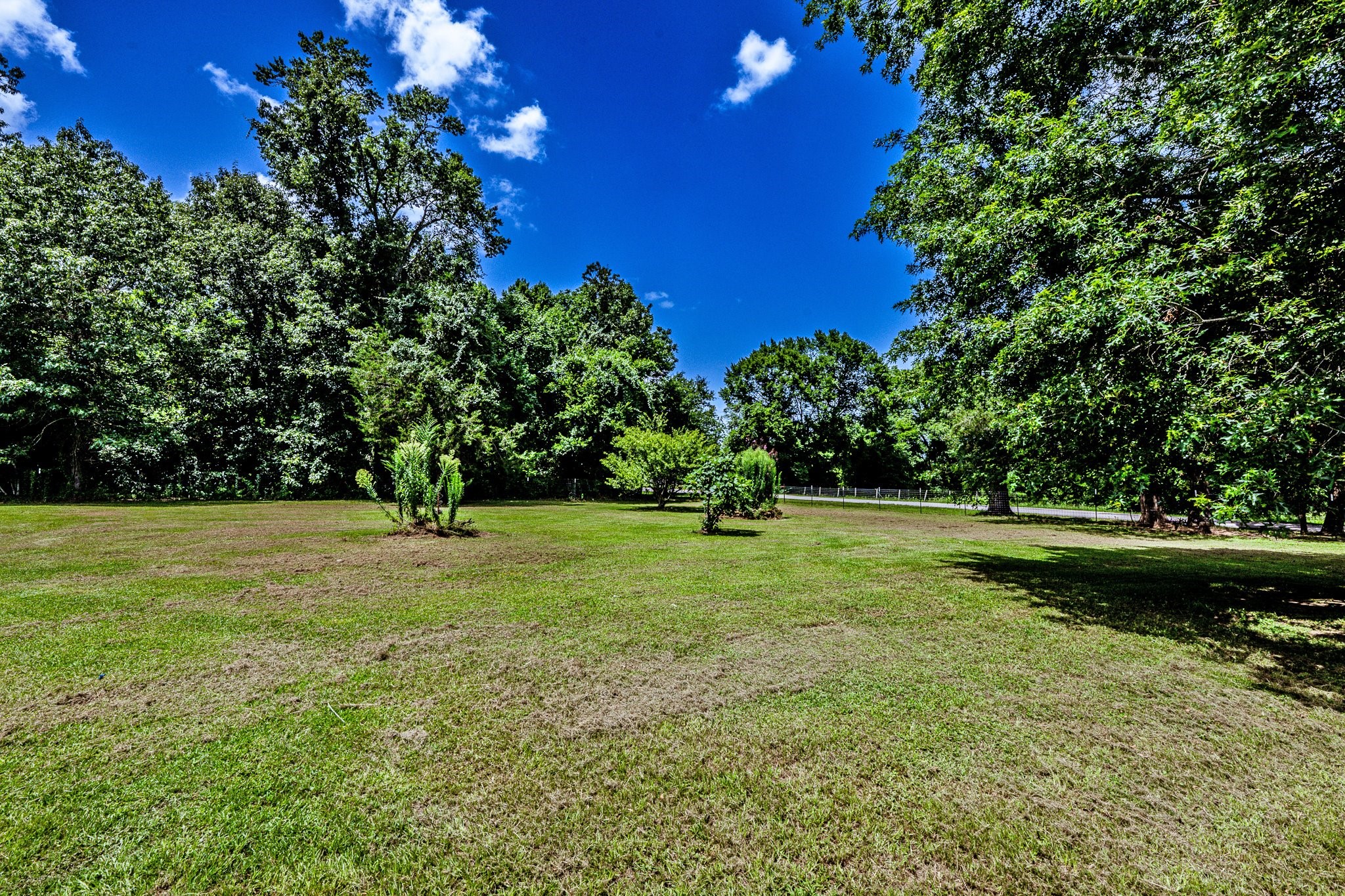 92 Mt Zion Road New Waverly, TX 77358 - Photo 21 of 33 a view of a park