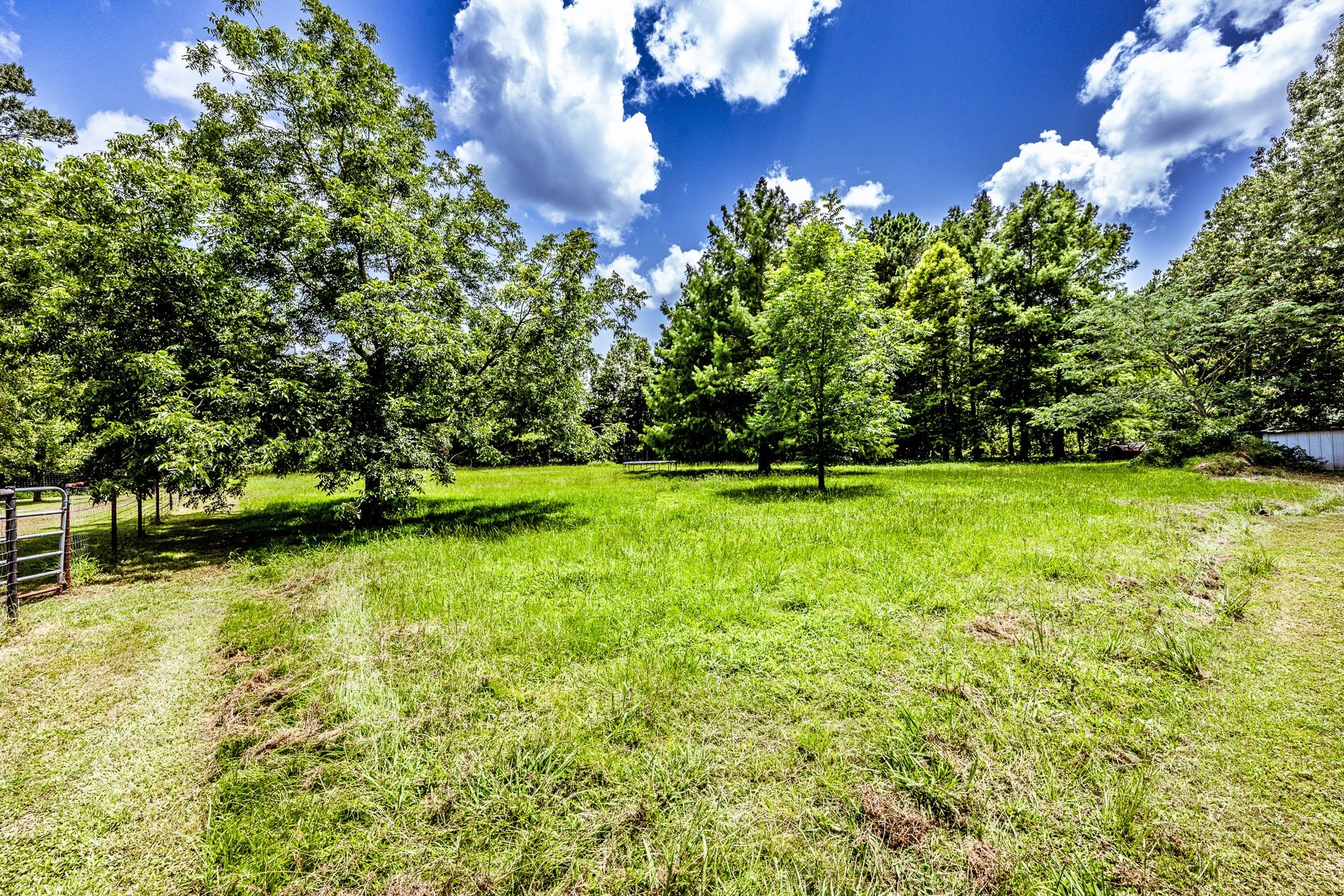 92 Mt Zion Road New Waverly, TX 77358 - Photo 22 of 33 a view of a golf course with a tree