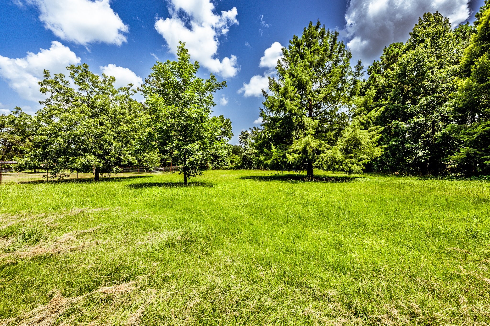 92 Mt Zion Road New Waverly, TX 77358 - Photo 23 of 33