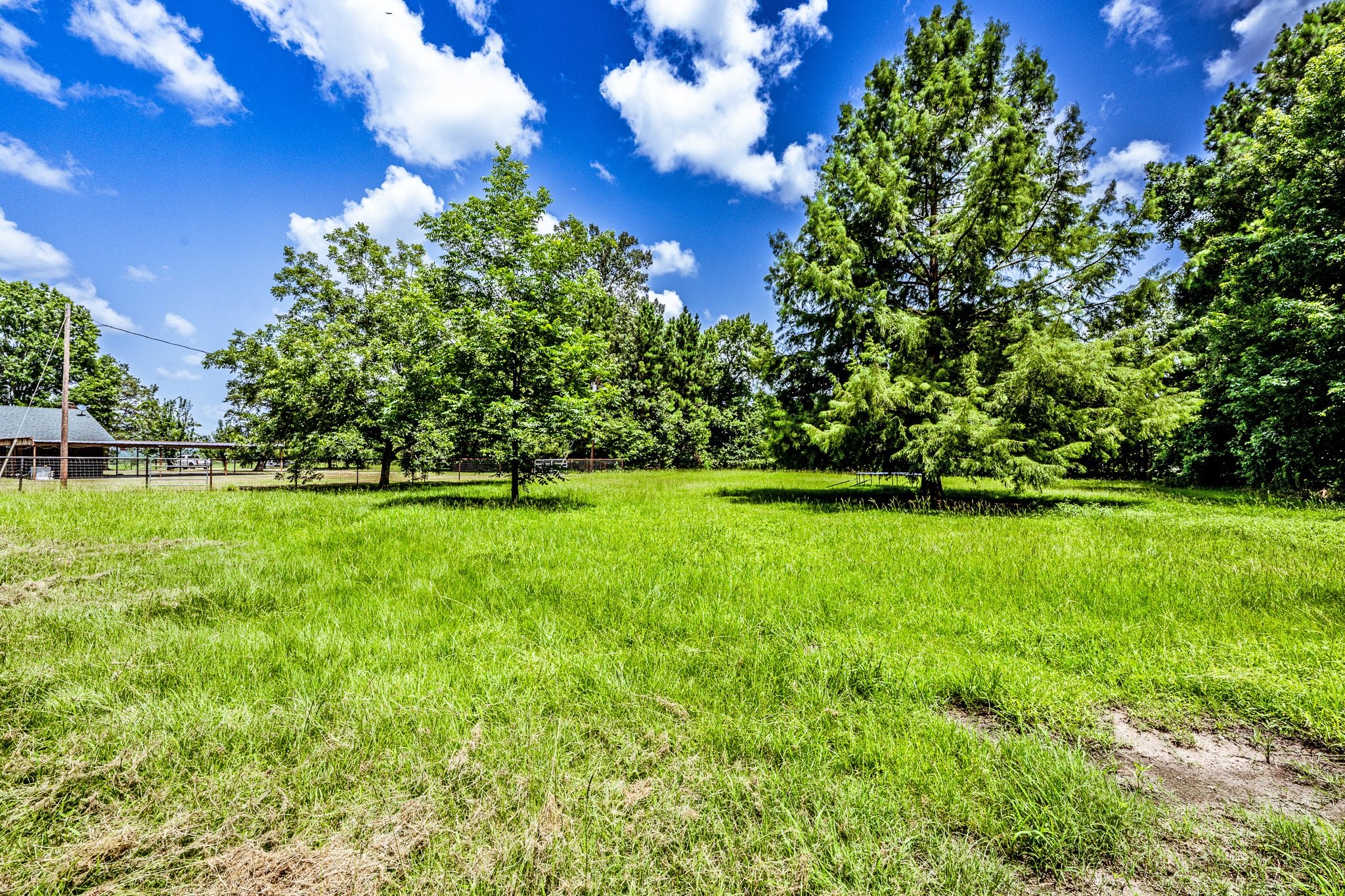 92 Mt Zion Road New Waverly, TX 77358 - Photo 24 of 33 a view of yard with green space