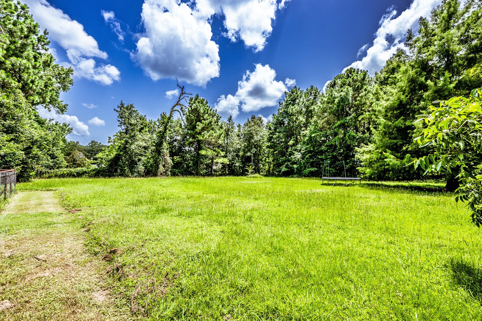 92 Mt Zion Road New Waverly, TX 77358 - Photo 25 of 33 a view of yard with swimming pool
