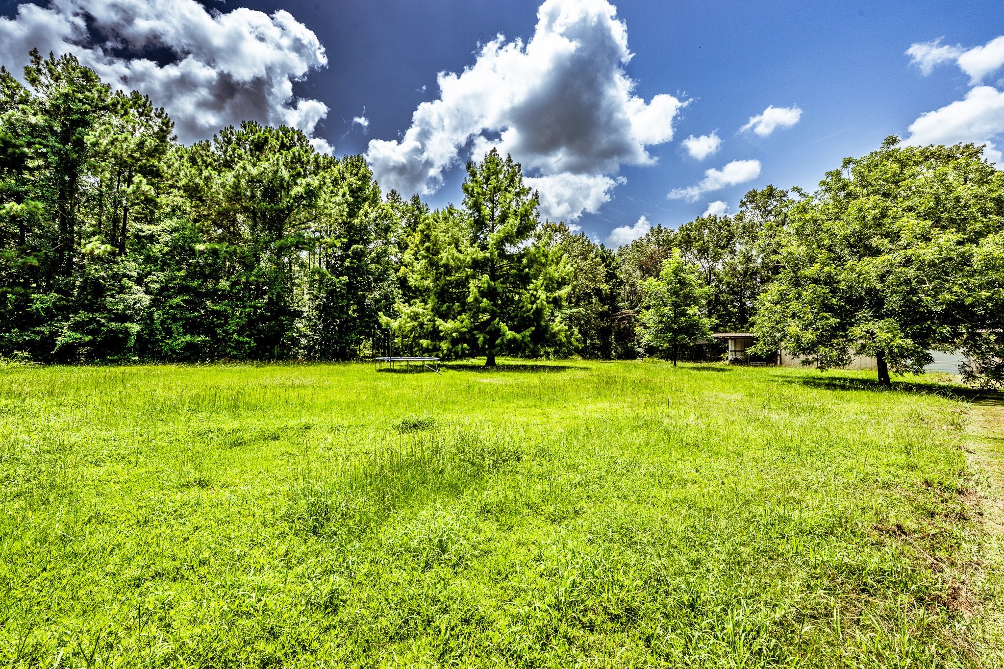 92 Mt Zion Road New Waverly, TX 77358 - Photo 26 of 33