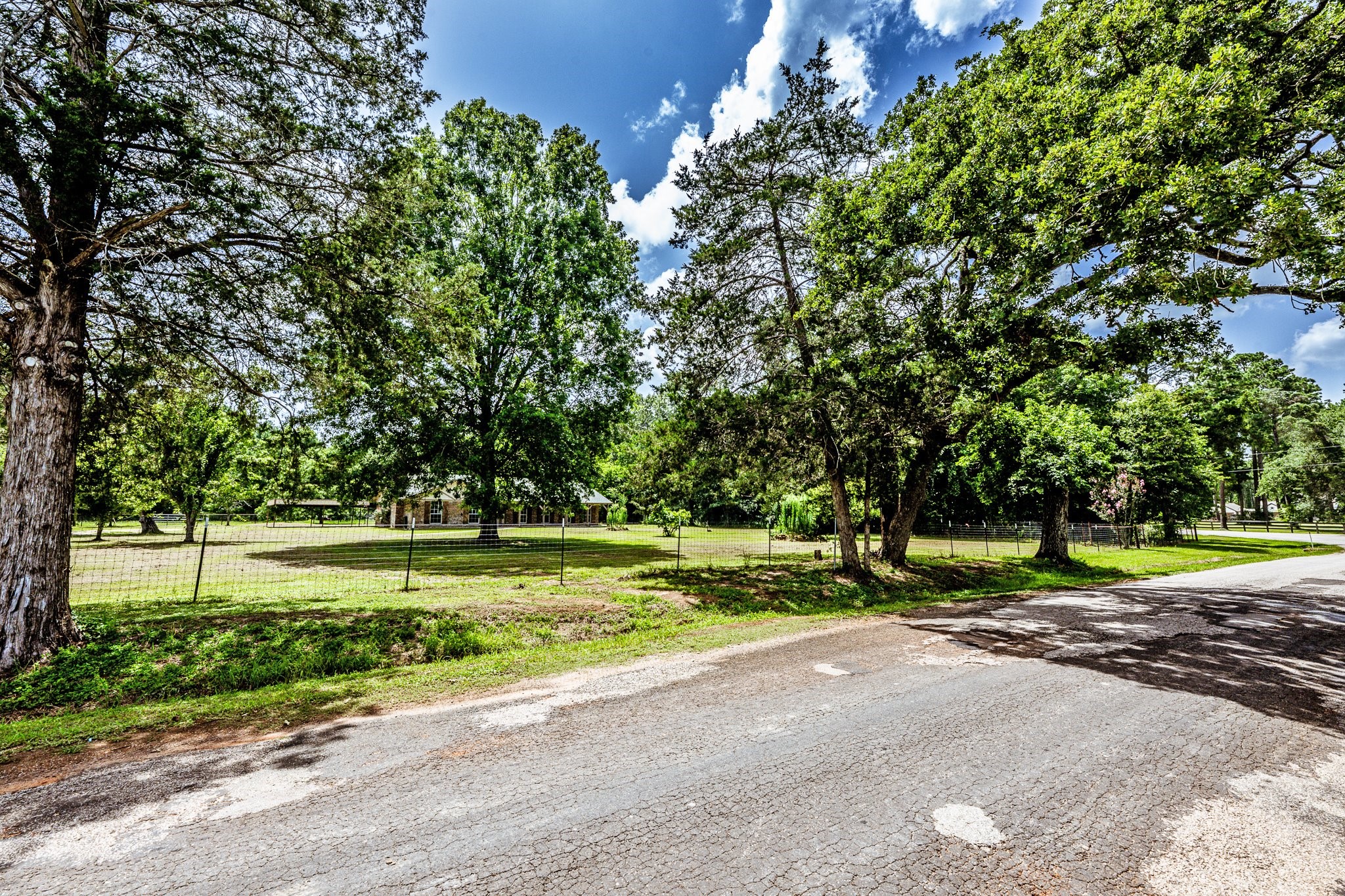 92 Mt Zion Road New Waverly, TX 77358 - Photo 27 of 33 a view of a backyard with large trees