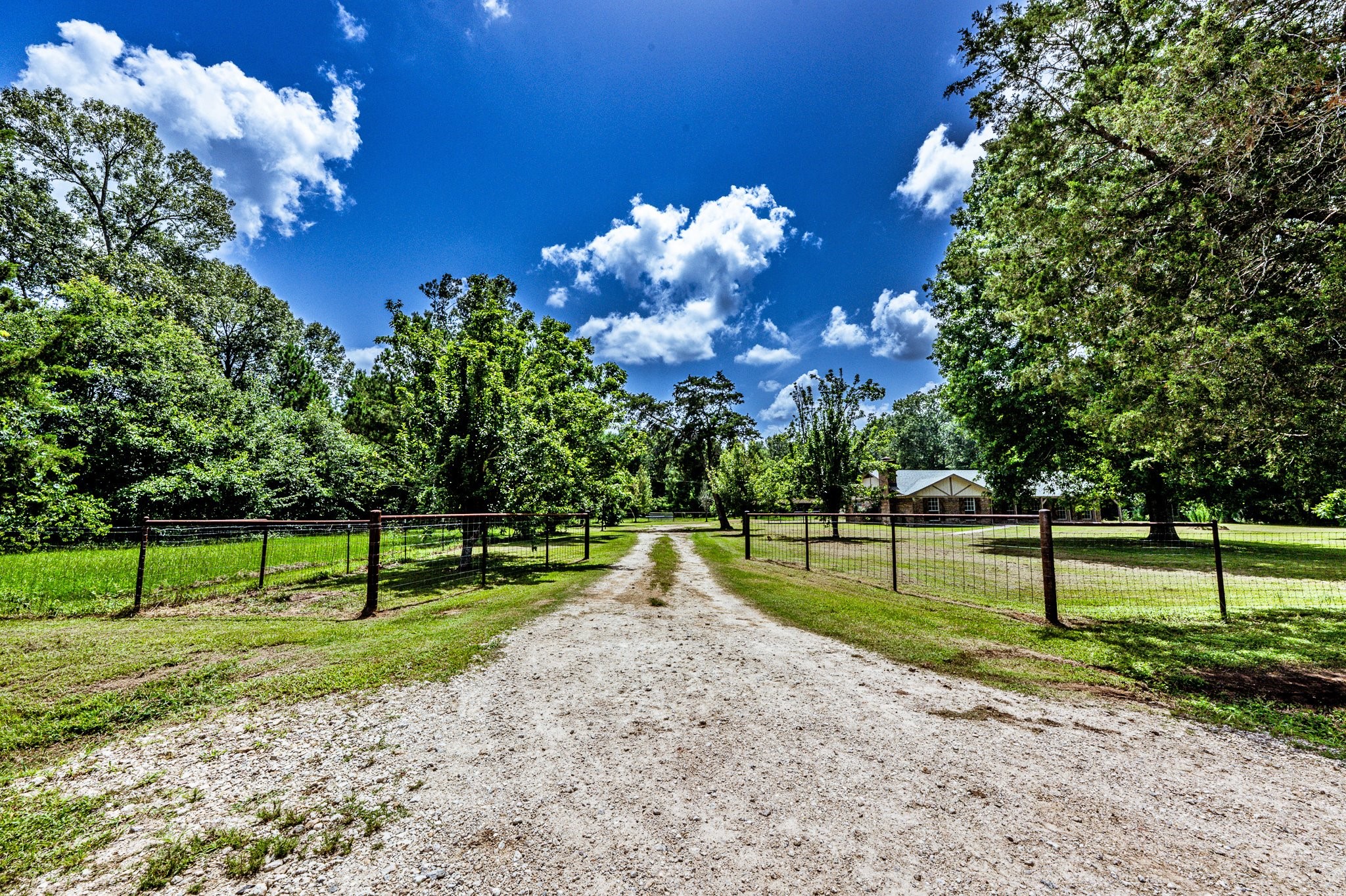 92 Mt Zion Road New Waverly, TX 77358 - Photo 28 of 33 a view of a park with large trees