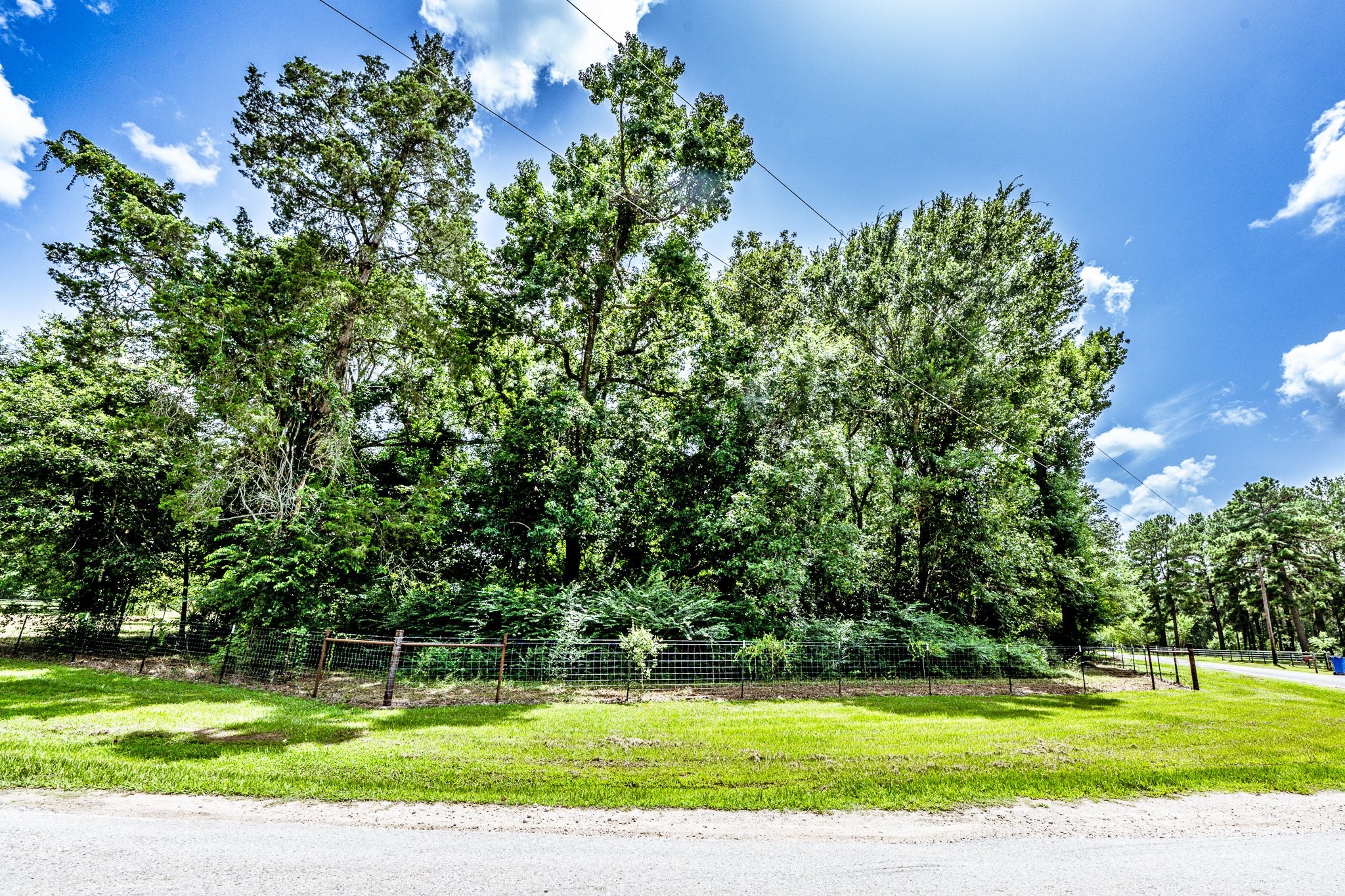 92 Mt Zion Road New Waverly, TX 77358 - Photo 31 of 33 a view of a golf course with a trees