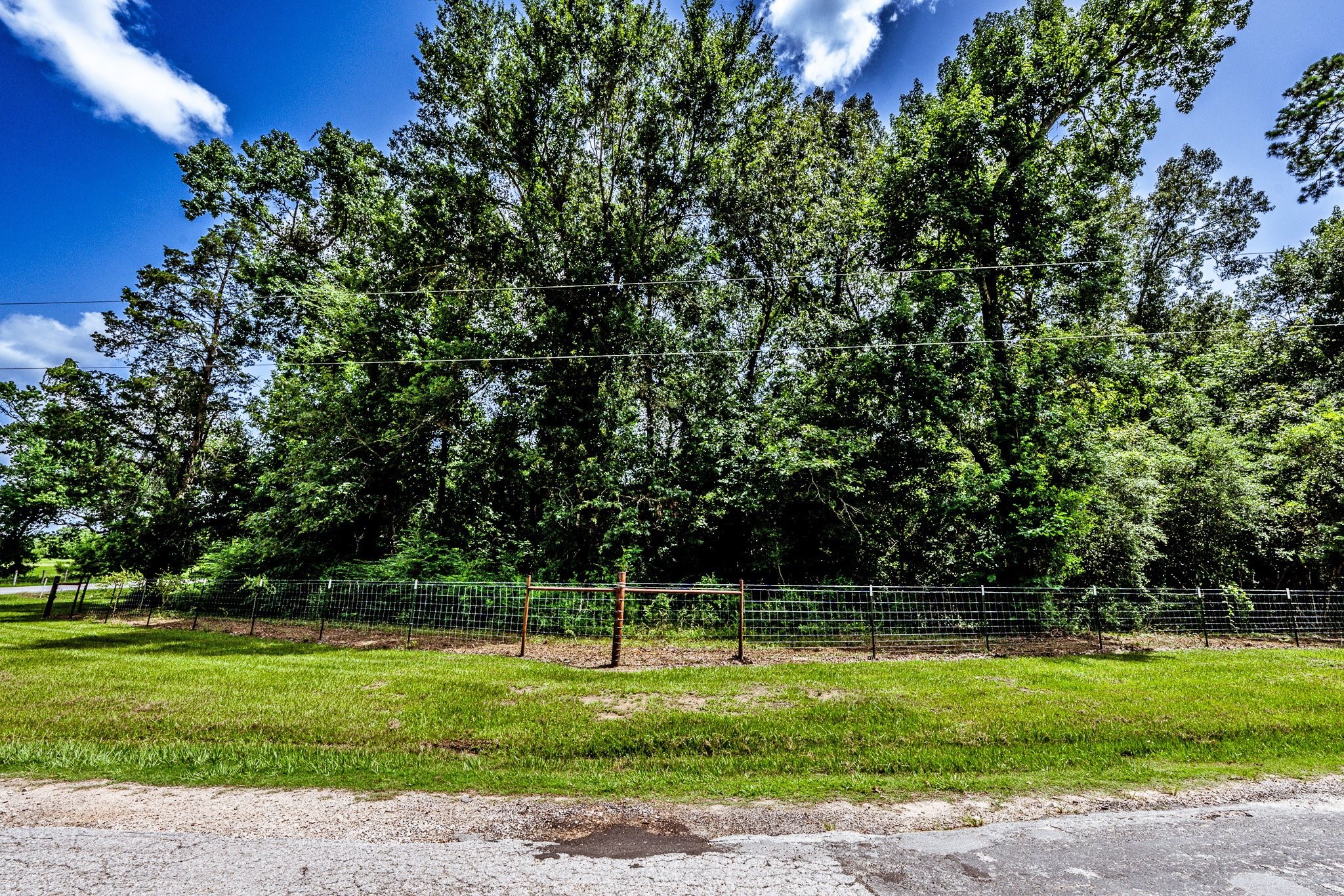 92 Mt Zion Road New Waverly, TX 77358 - Photo 32 of 33 a view of a park