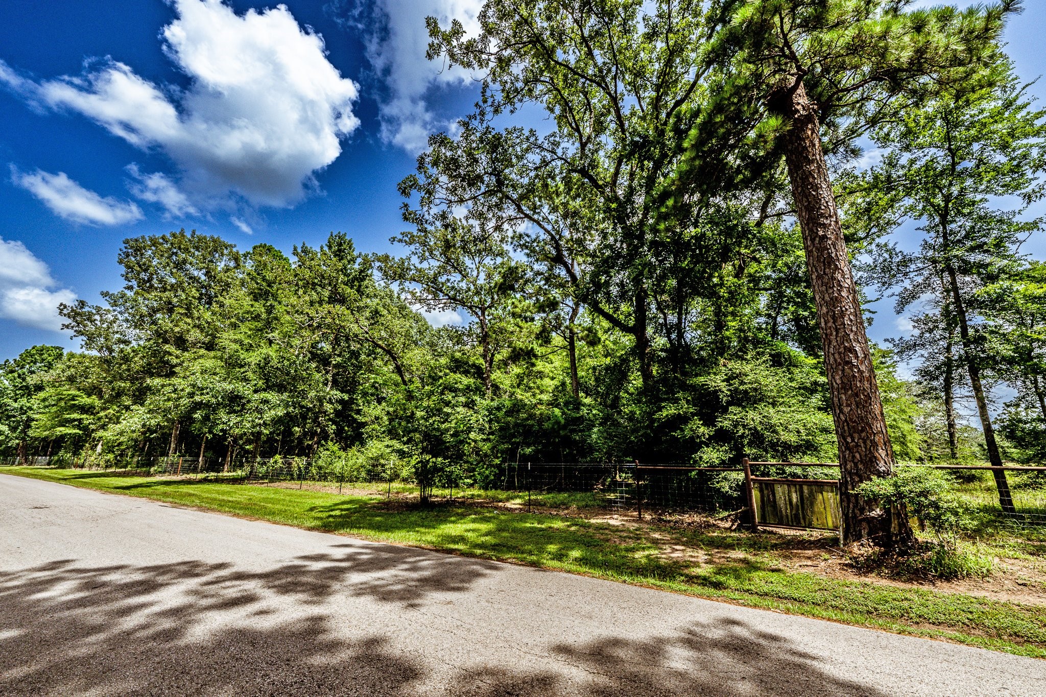 92 Mt Zion Road New Waverly, TX 77358 - Photo 33 of 33 a view of a park