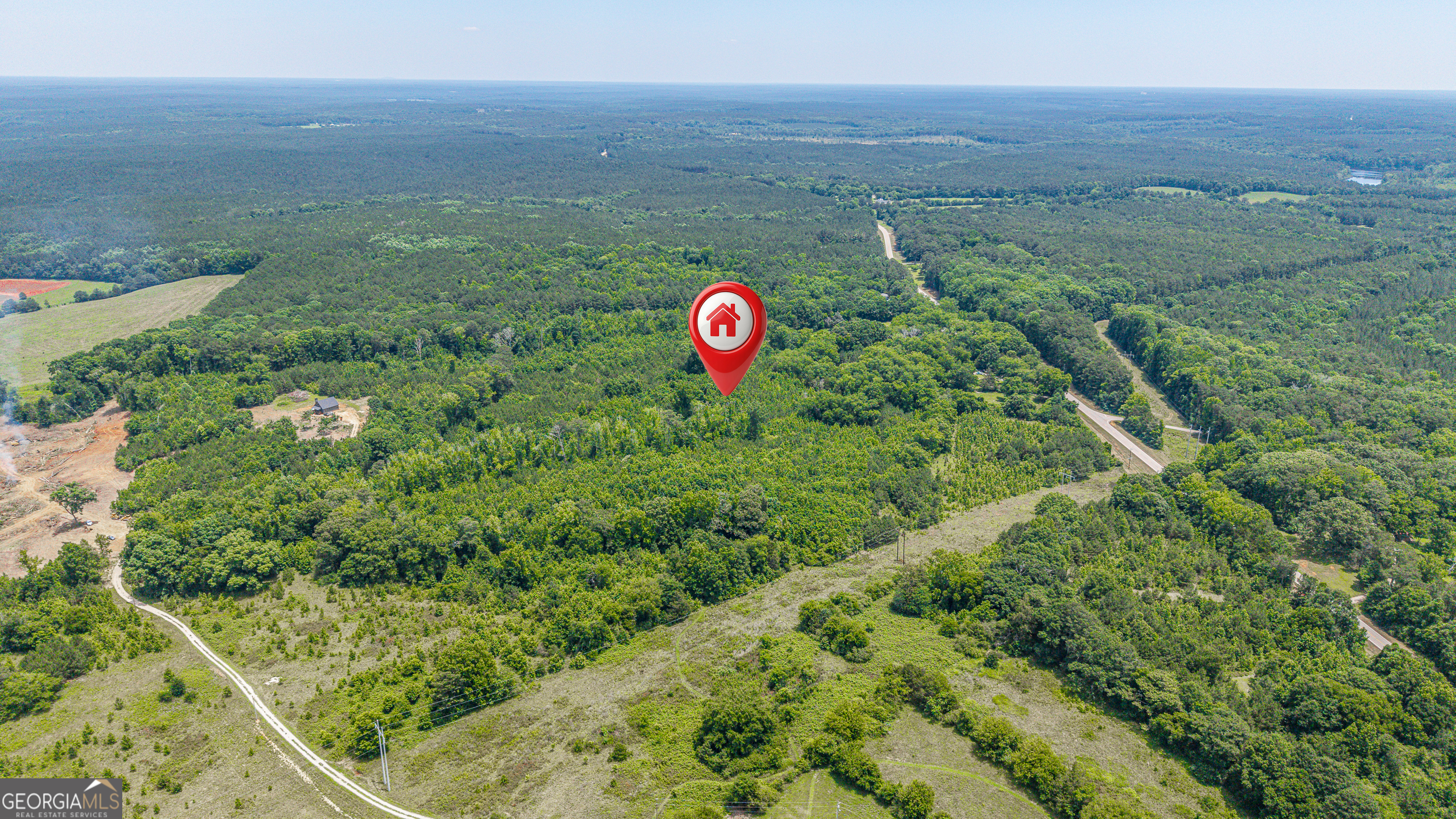 0 Washington Highway Union Point, GA 30669 - Photo 7 of 22