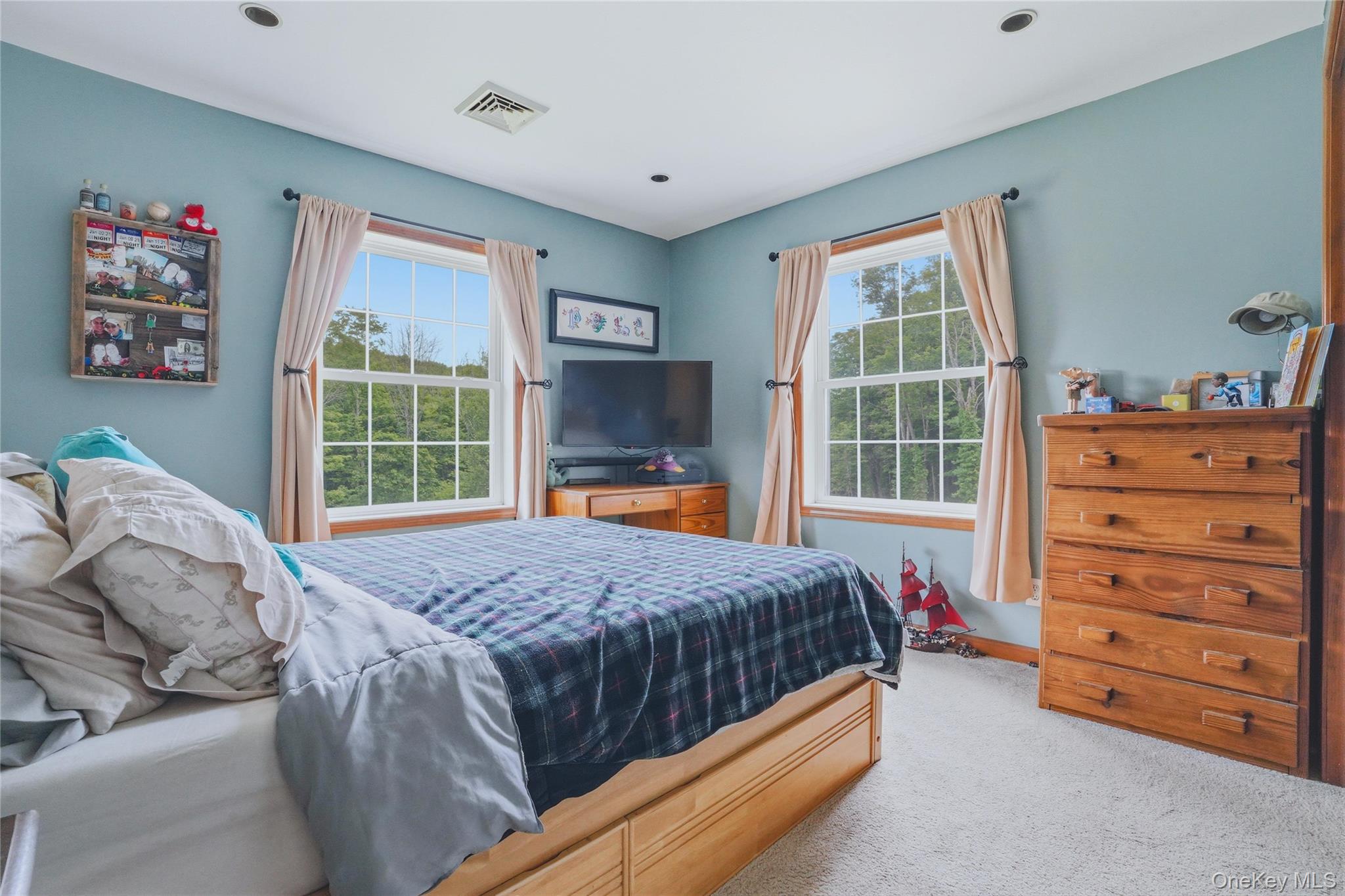 226 Cart Road, Unit C Dover Plains, NY 12522 - Photo 25 of 47 Bedroom with teal walls and grey carpet