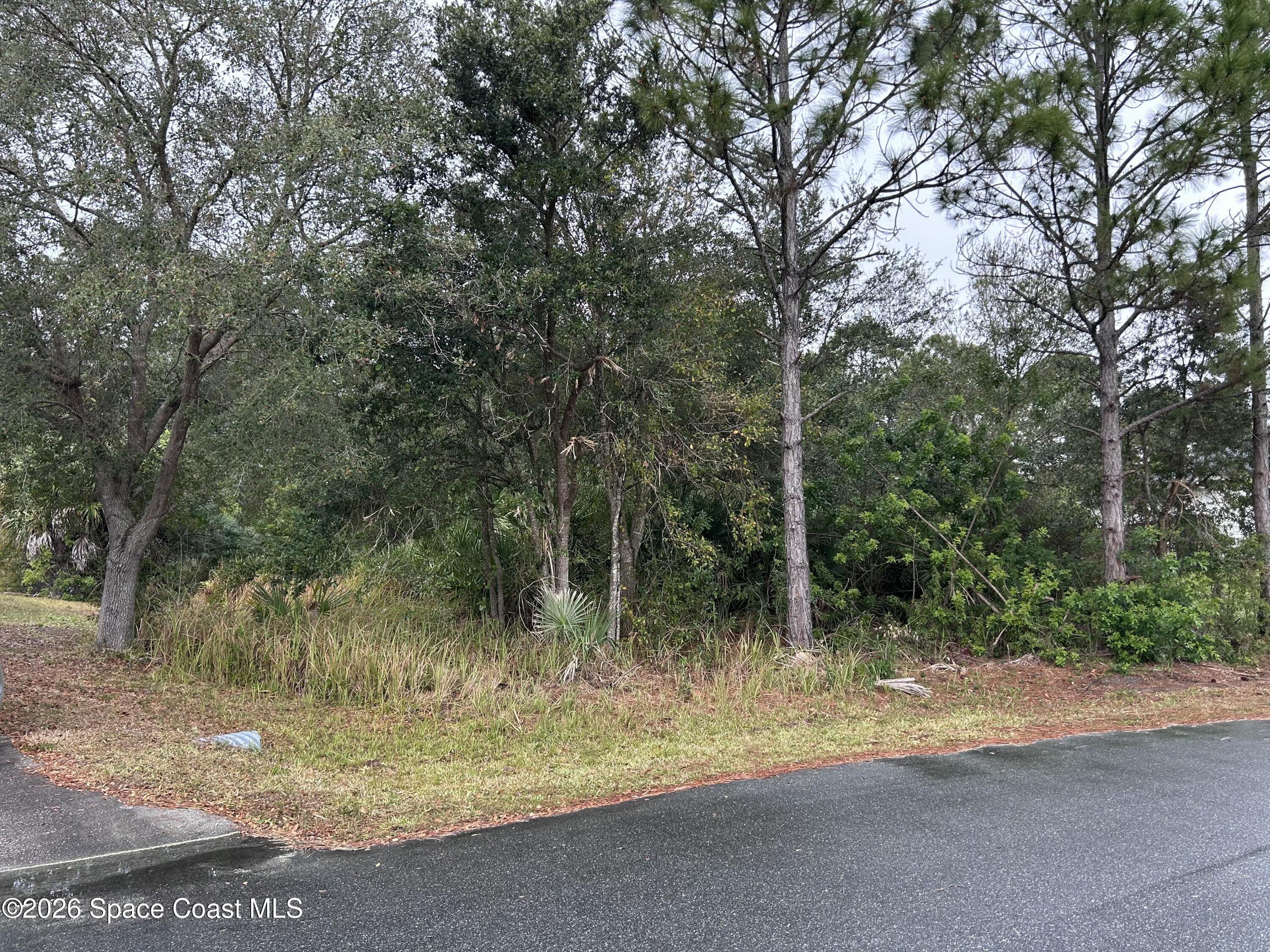 887 Titan Road Southeast Palm Bay, FL 32909 - Photo 3 of 4 IMG_5993