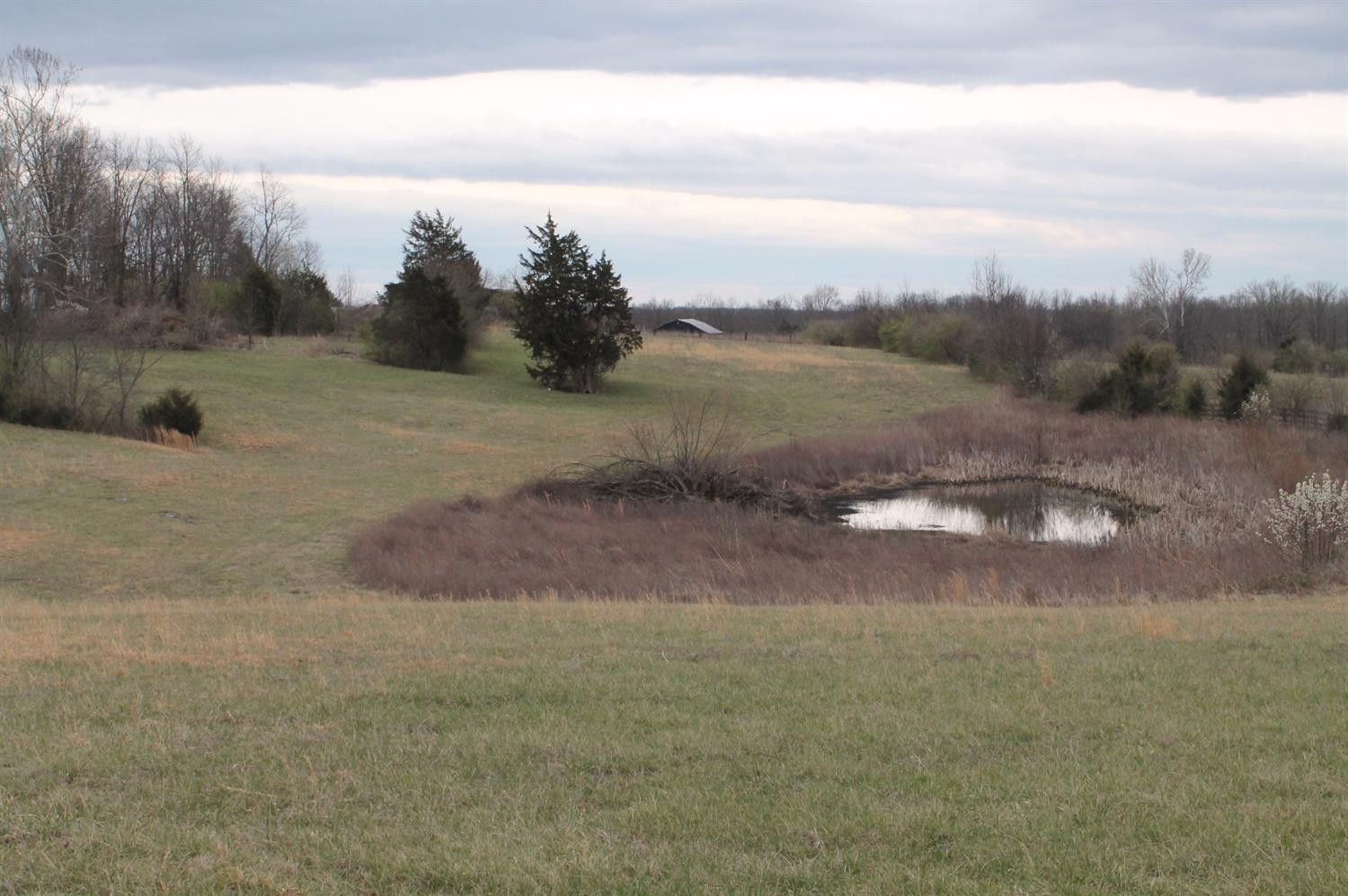 1010 High Bridge Road Wilmore, KY 40390 - Photo 2 of 5 Photo 2