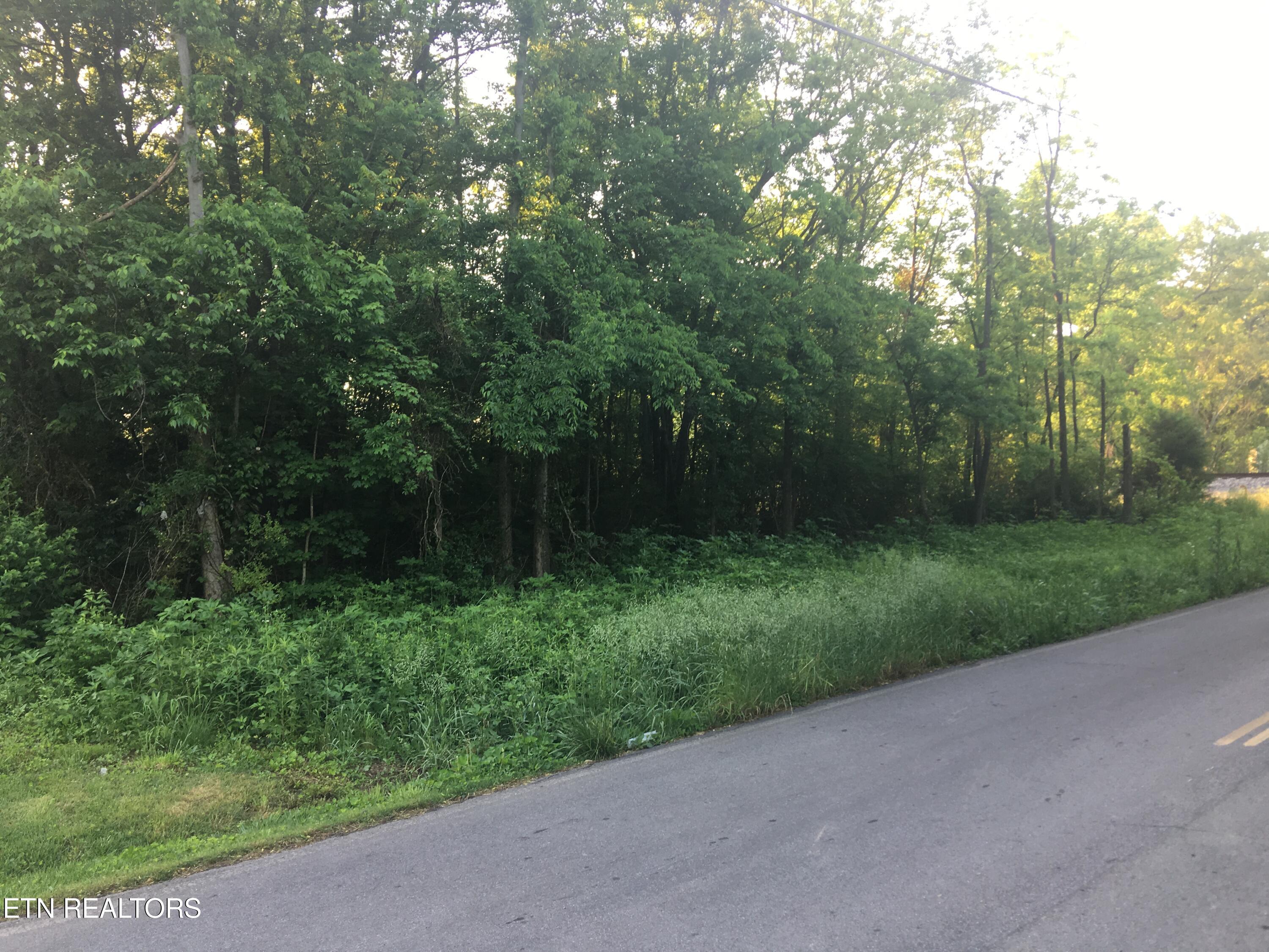 450 Butler Road Decatur, TN 37322 - Photo 2 of 7 IMG_4308