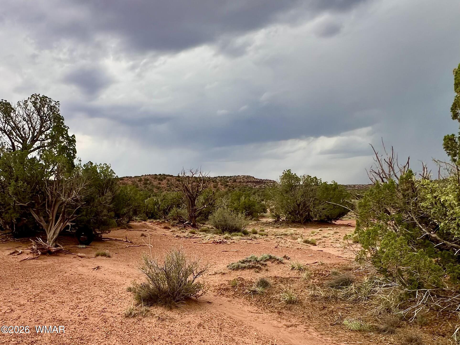 3727 Jay Road Snowflake, AZ 85937 - Photo 6 of 17 a view of a dry yard