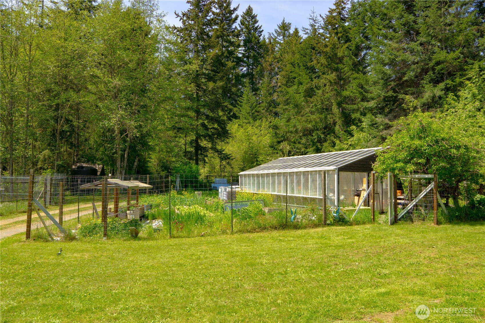 89 Slab Camp Road Sequim, WA 98382 - Photo 6 of 40 a view of a house with a yard and a large tree