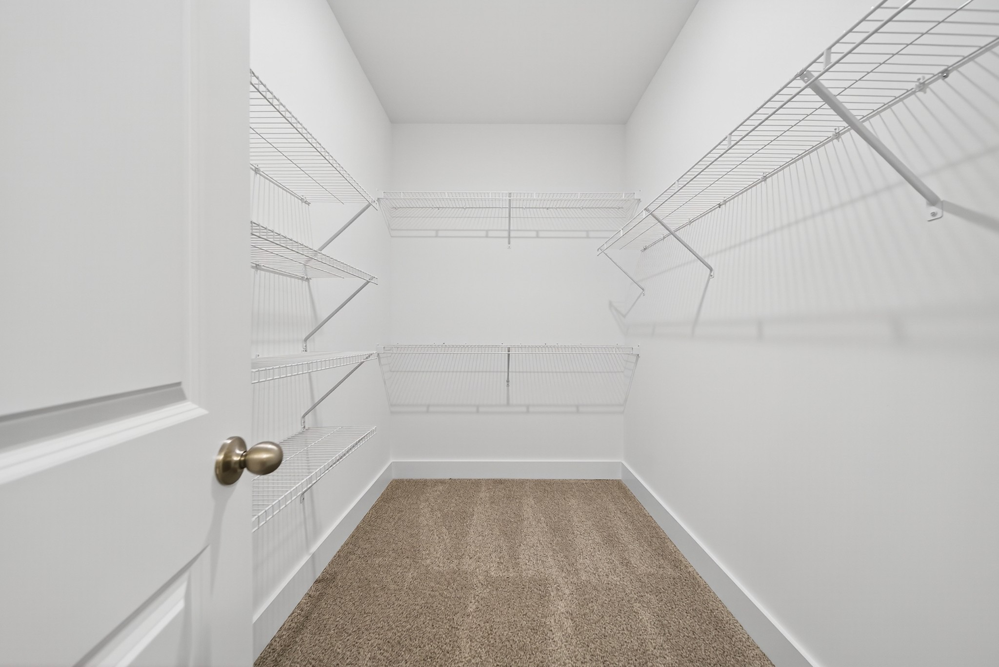 3916 Trinity Woods Road Columbia, TN 38401 - Photo 51 of 56