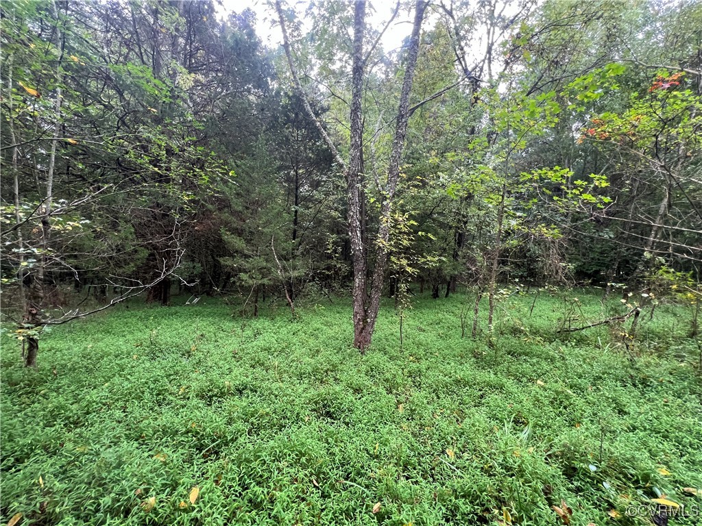 Gallery Image 6