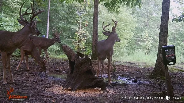 a sign that is sitting on a rock