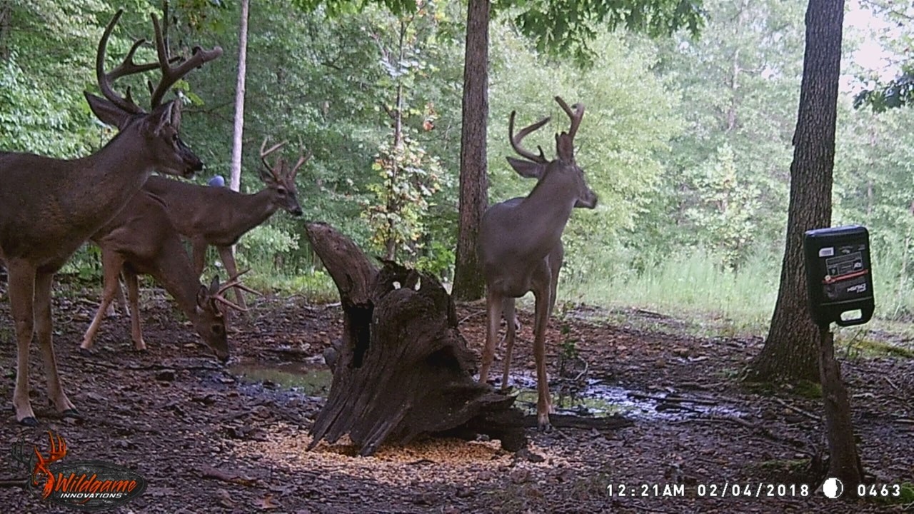 708 Waterloo Road Westpoint, TN 38486 - Photo 24 of 26