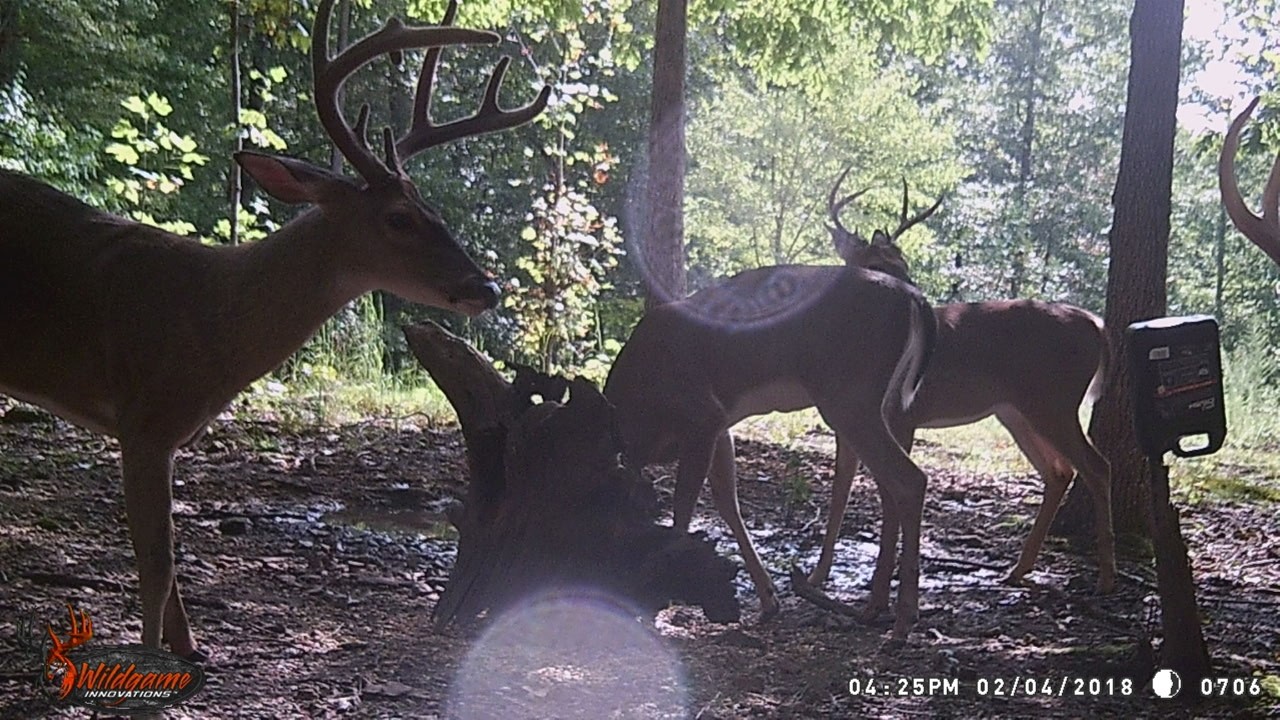 708 Waterloo Road Westpoint, TN 38486 - Photo 25 of 26