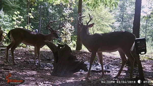 a view of a backyard of the house