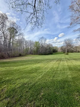 a view of a field of grass and trees