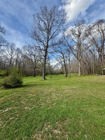 a view of garden with trees