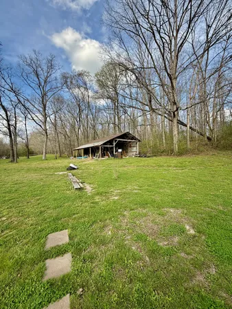 a view of a park with large trees