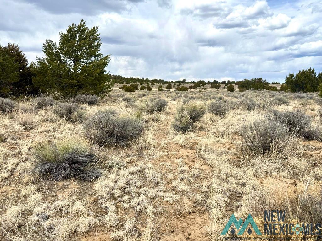 16 Five Five Gate Road Pinehill, NM 87357 - Photo 13 of 15