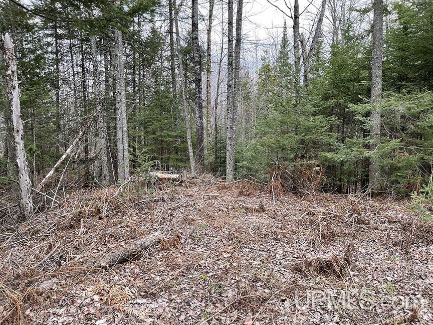 Tbd Merwin Creek Road Gulliver, MI 49840 - Photo 3 of 4 Gallery Image 3