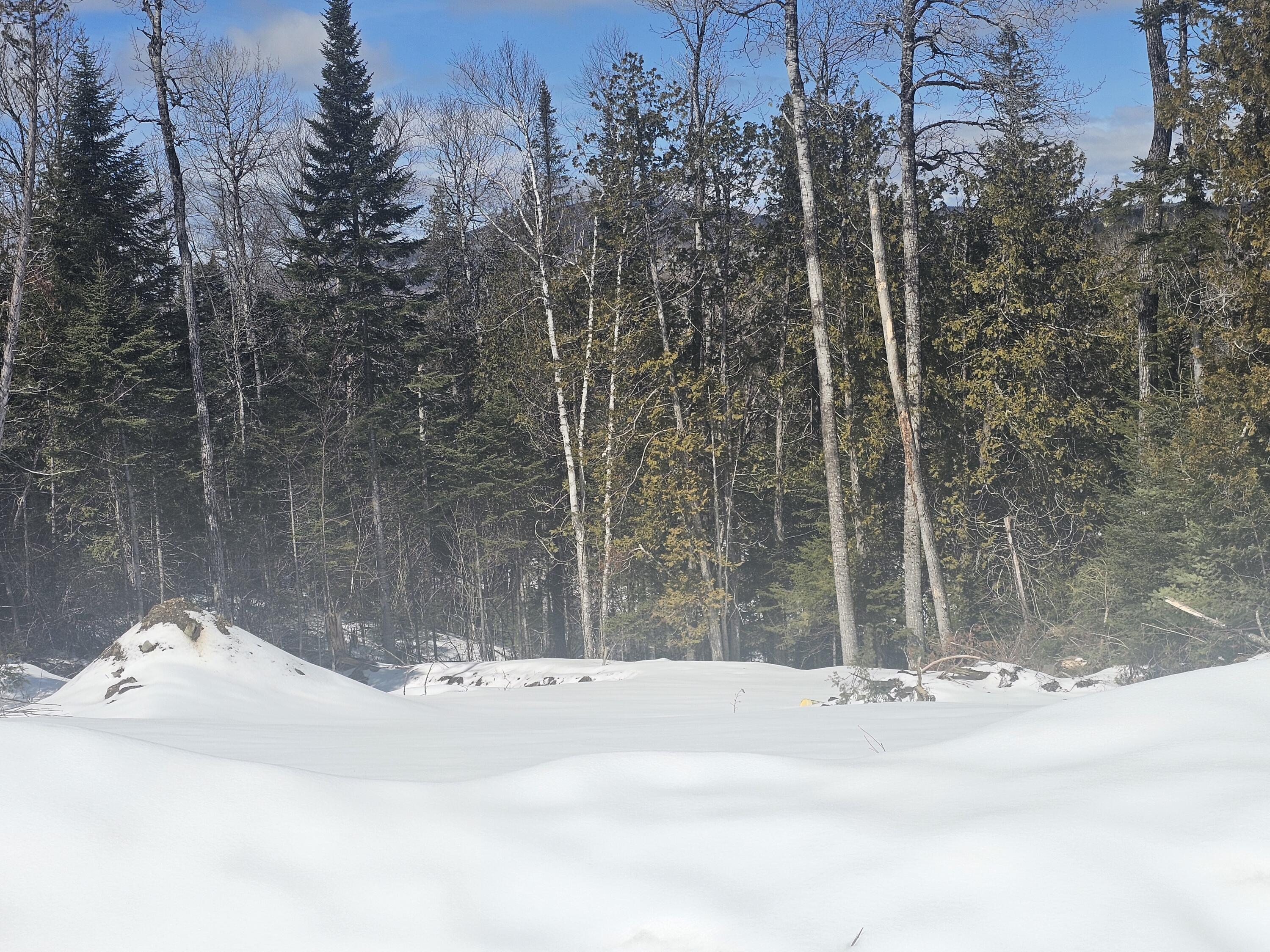 32 Crystal Lake Road Island Falls, ME 04747 - Photo 10 of 33