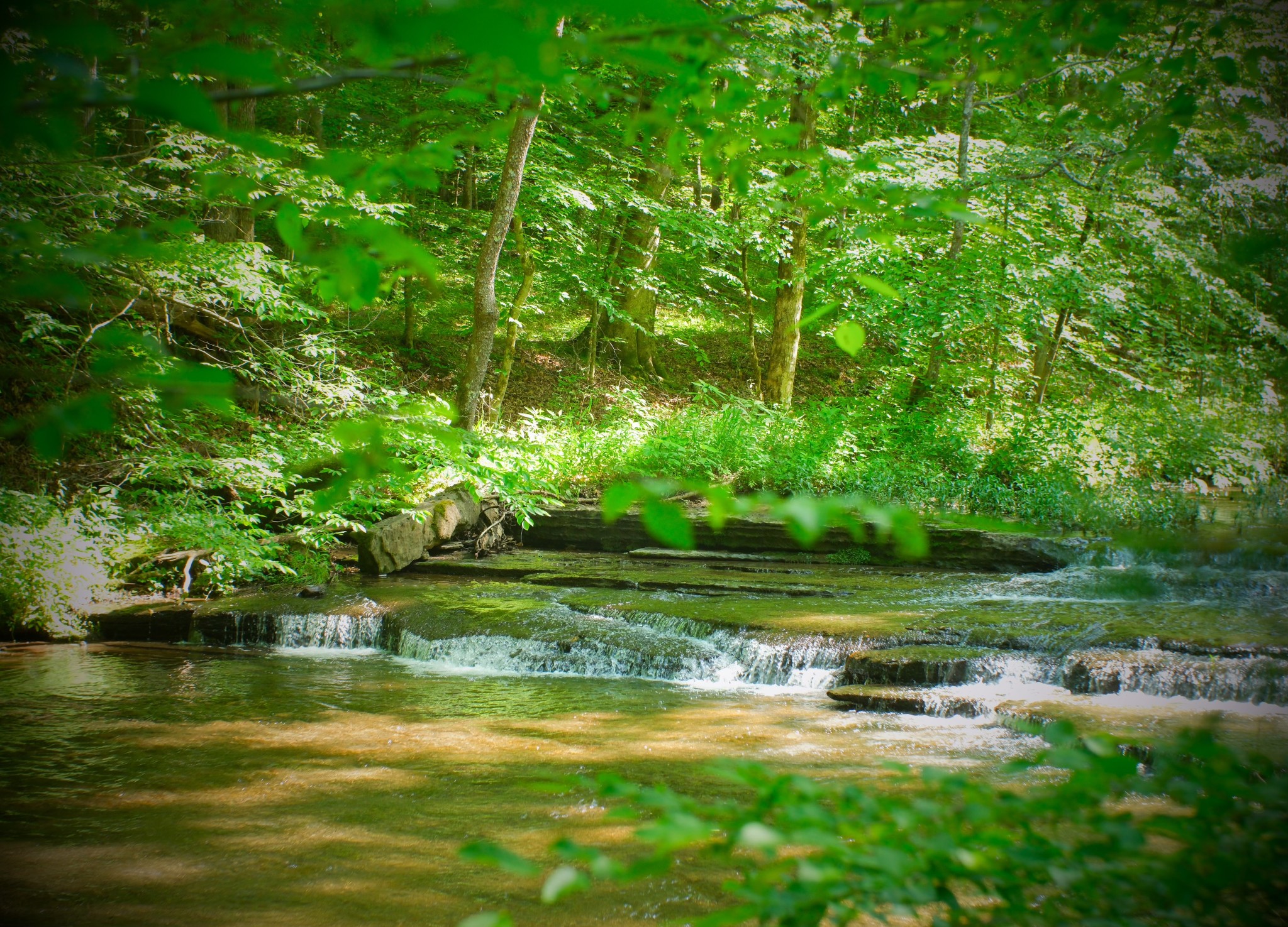 1104 Deer Ridge Road Kingston Springs, TN 37082 - Photo 2 of 36 a view of a lake with a big yard