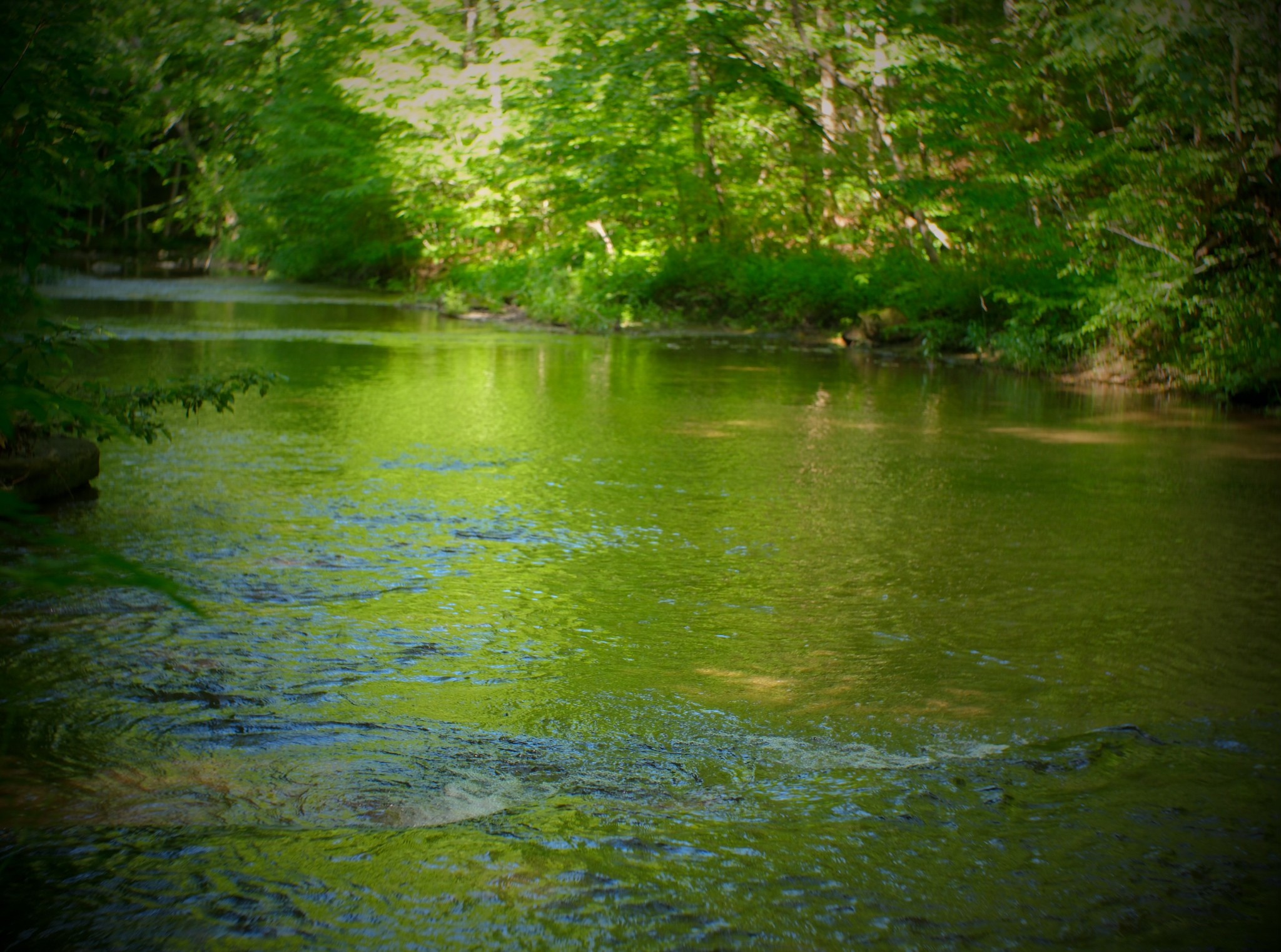 1104 Deer Ridge Road Kingston Springs, TN 37082 - Photo 33 of 36 a view of a lake view