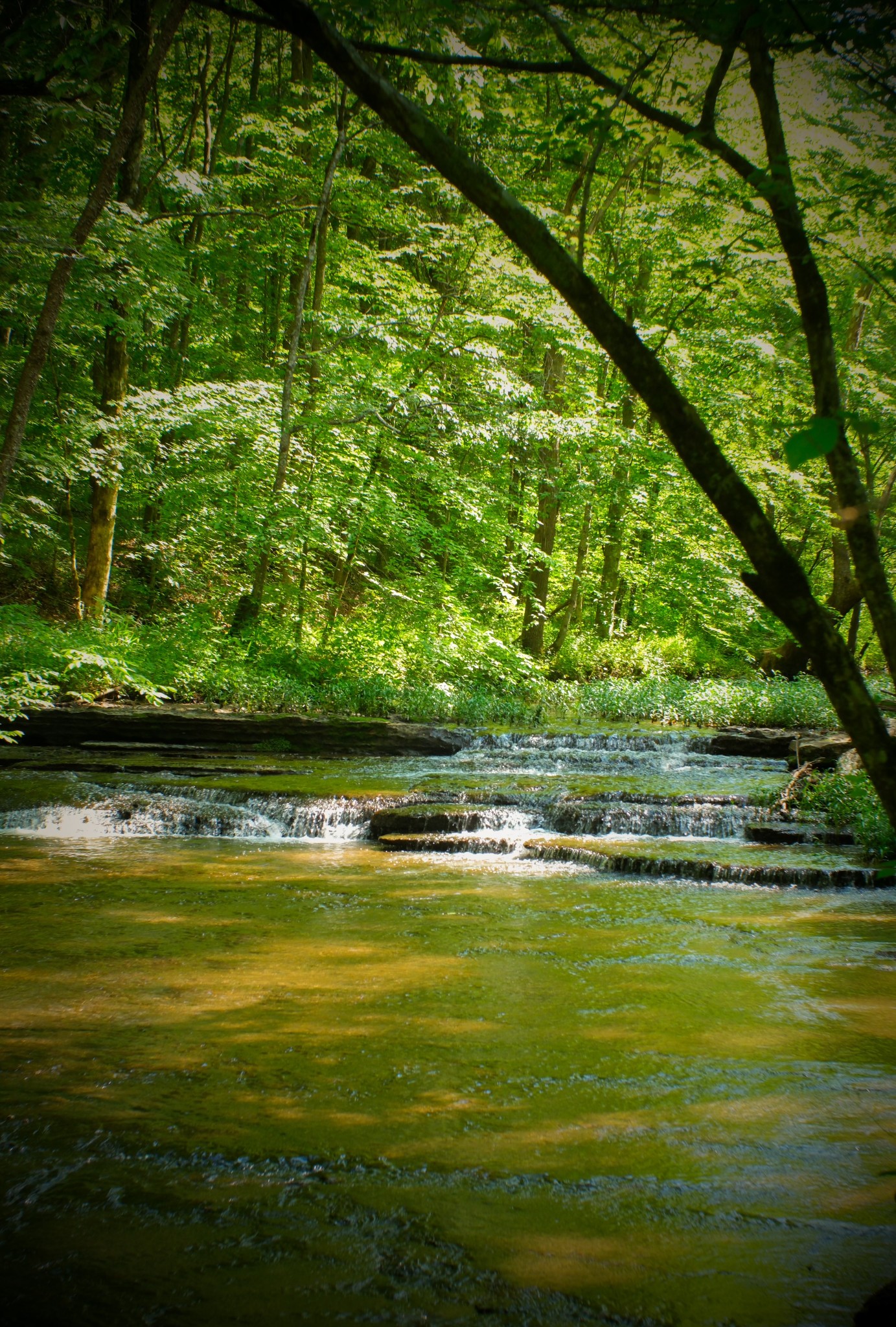 1104 Deer Ridge Road Kingston Springs, TN 37082 - Photo 35 of 36 a view of outdoor space with swimming pool