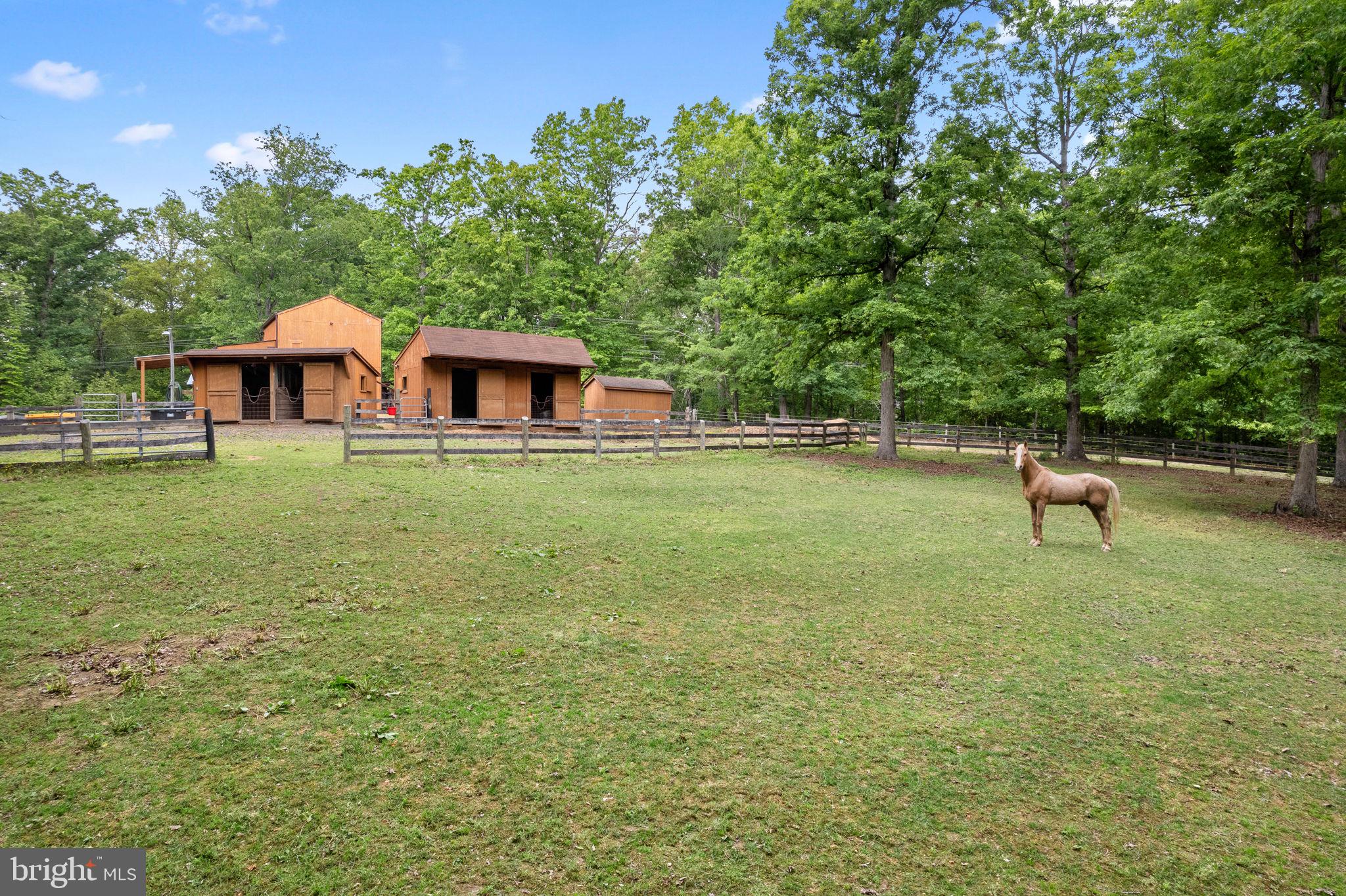 5099 Courtneys Corner Road Sumerduck, VA 22742 - Photo 28 of 52