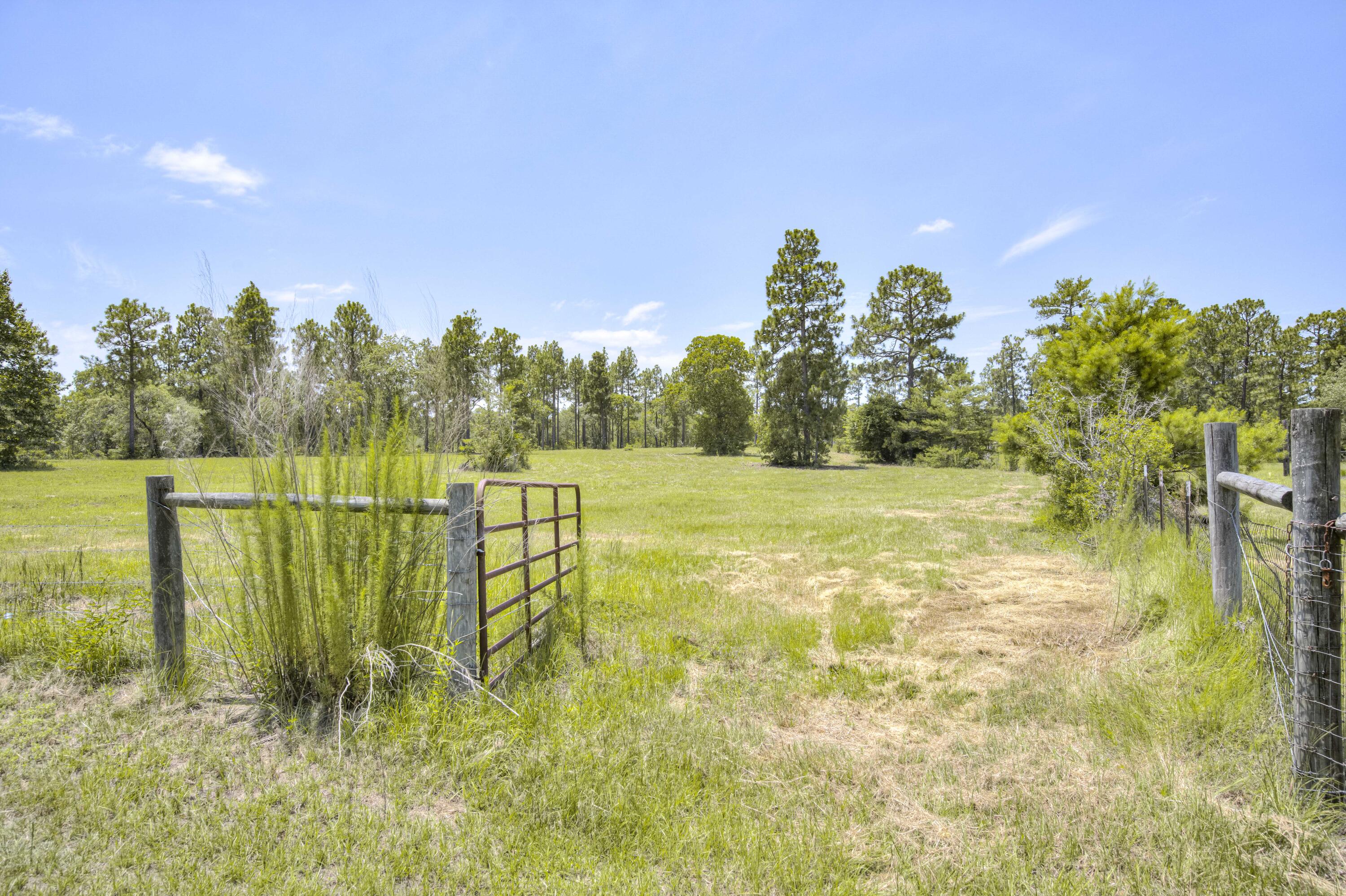 798 Big Branch Road Wagener, SC 29164 - Photo 39 of 63