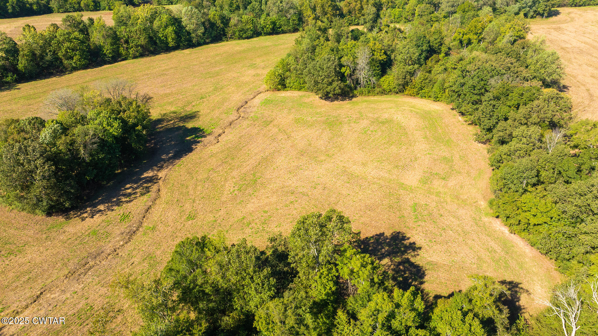 1 Hearn Road Greenfield, TN 38230 - Photo 3 of 14 DJI_20251009104449_0116_D